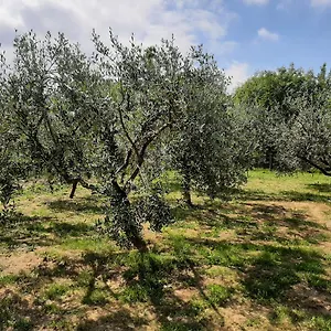 La Casetta Di Bianca Vakantiehuis